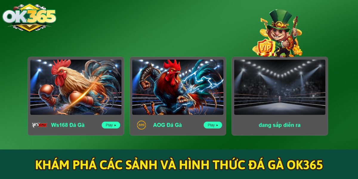 Khám phá các sảnh và hình thức đá gà OK365