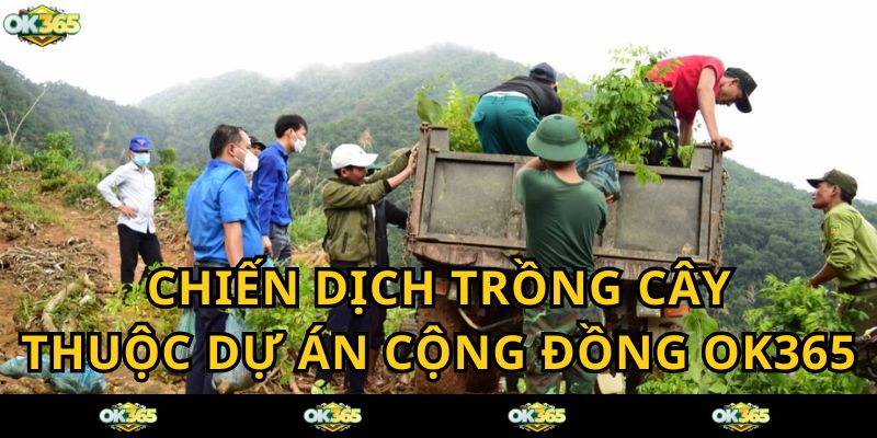 Chiến dịch trồng cây - Hoạt động cộng đồng của OK365 COM góp phần bảo vệ môi trường